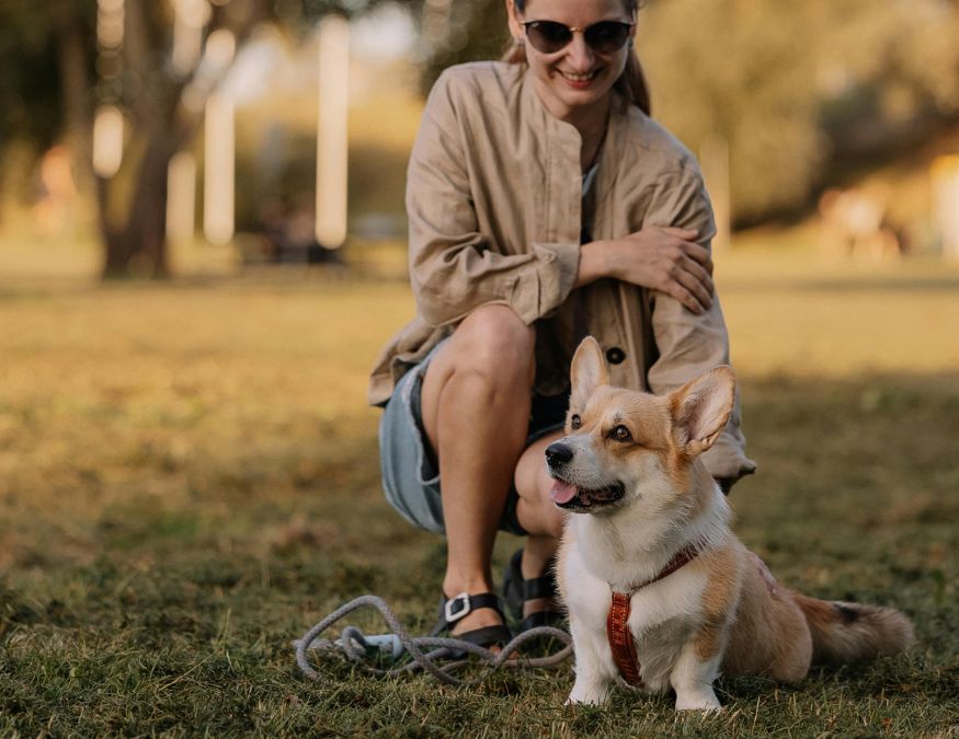 Veterinär malmö cypressvägen