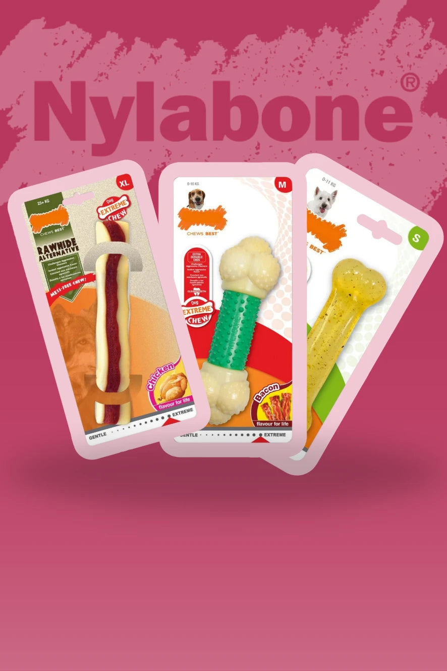 Nylabone tuggben