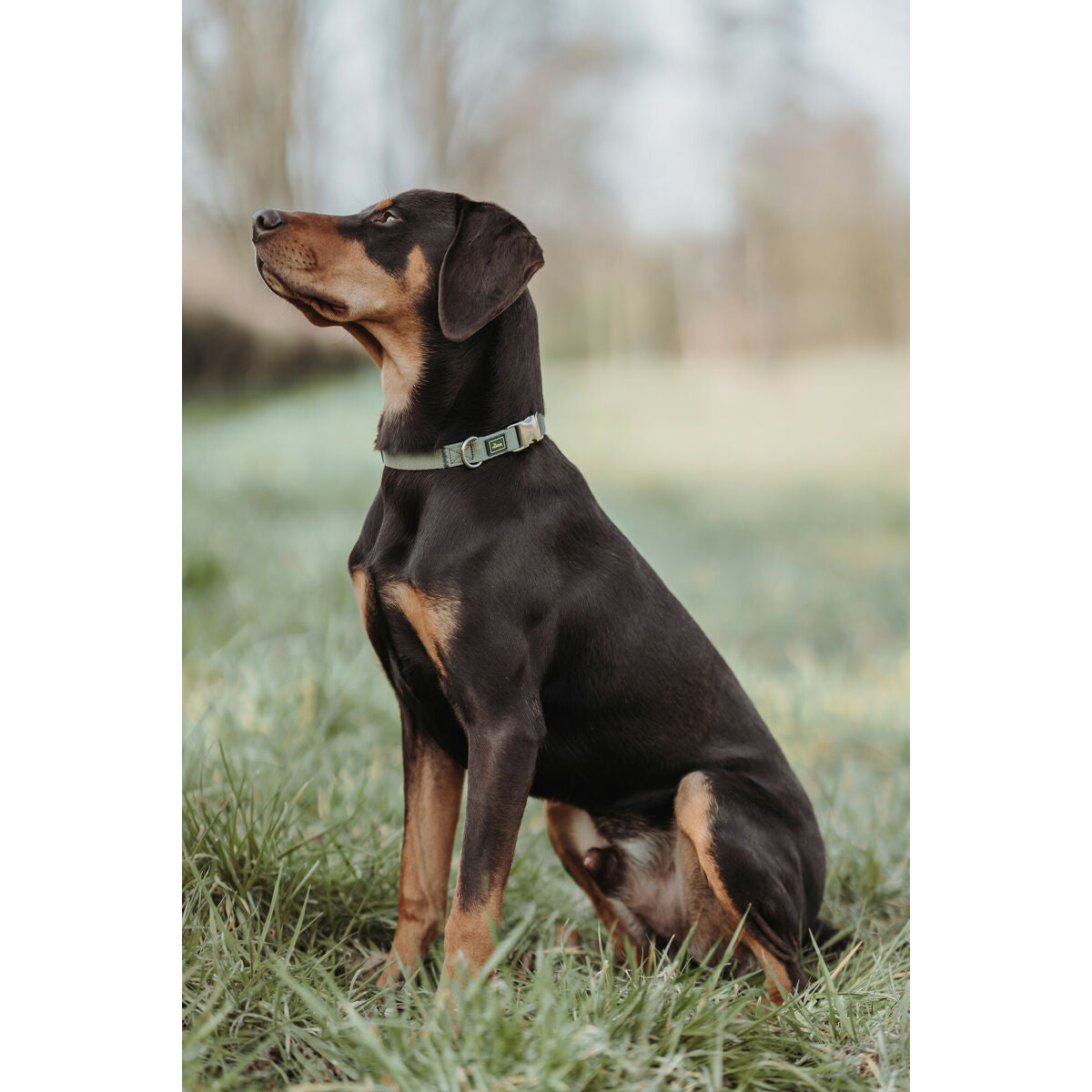 Hundhalsband Hunter Grön 40-55 cm L