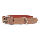 Hundhalsband Gloria Oasis Brun (55 x 2,5 cm) - Gloria | Valpoteket