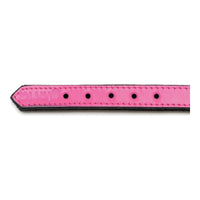 Hundhalsband Gloria Vadderad Fuchsia (40 x 2 cm) - Gloria | Valpoteket