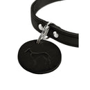 Hundhalsband Hunter Aalborg Svart L 45-55 cm - Hunter | Valpoteket