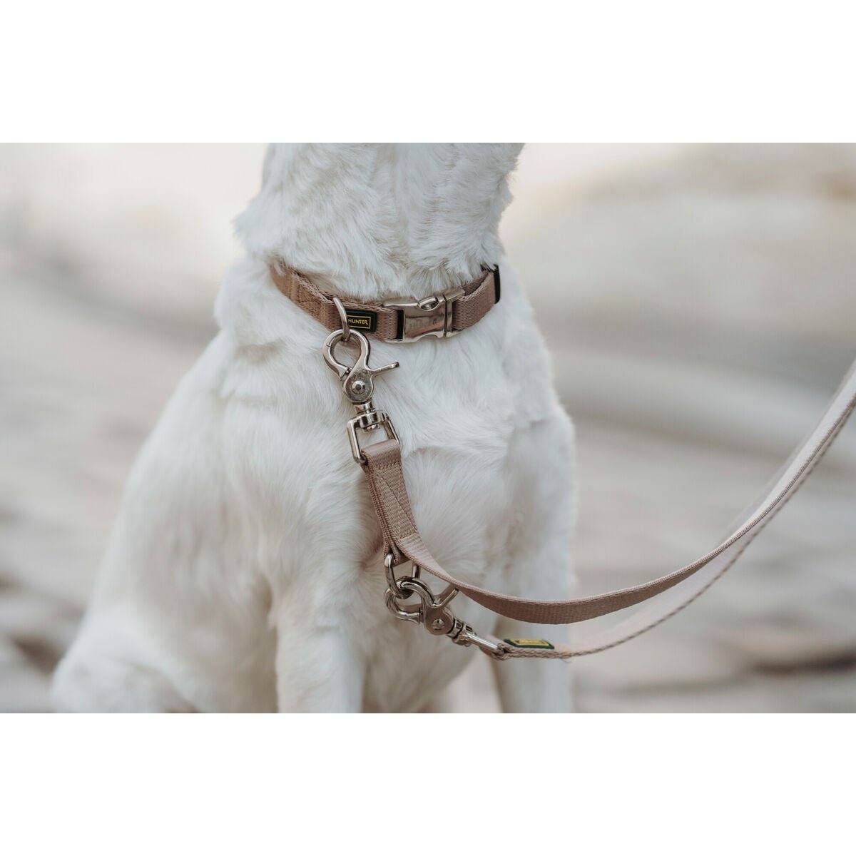 Hundhalsband Hunter Inari Beige 40-55 cm L - Hunter | Valpoteket