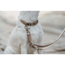 Hundhalsband Hunter Inari Beige XL 45-65 cm - Hunter | Valpoteket