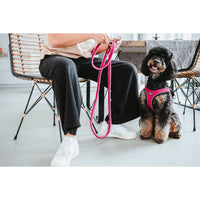 Hundsele Hunter Comfort Fuchsia M/L 58-63 cm - Hunter | Valpoteket