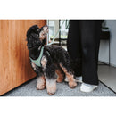 Hundsele Hunter Comfort Rosa XXS 26-30 cm - Hunter | Valpoteket