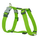 Hundsele Red Dingo Slät 37-61 cm Lime - Red Dingo | Valpoteket