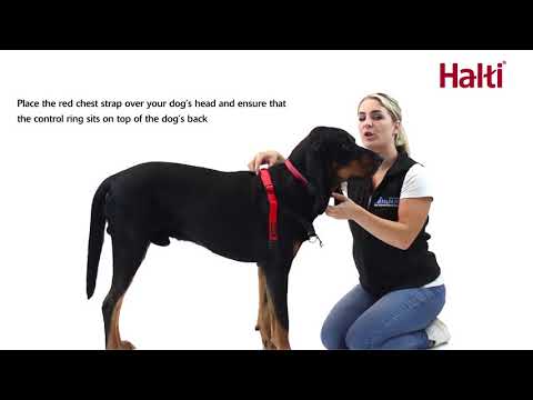 Training harness dog Halti black/red, S