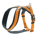 Hundsele Hunter London Comfort 48-56 cm Orange Storlek S/M - Hunter | Valpoteket