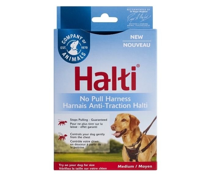 Antidragsele hund Halti svart, L - Company of Animals | Valpoteket