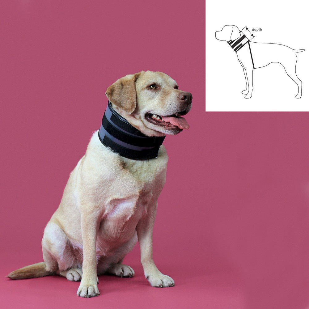 Cervical collar for dogs KVP Black (15-53 cm)