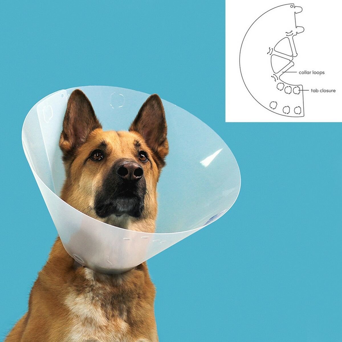 Elizabethan Dog Collar KVP Quick Fit Transparent (22-26 cm)