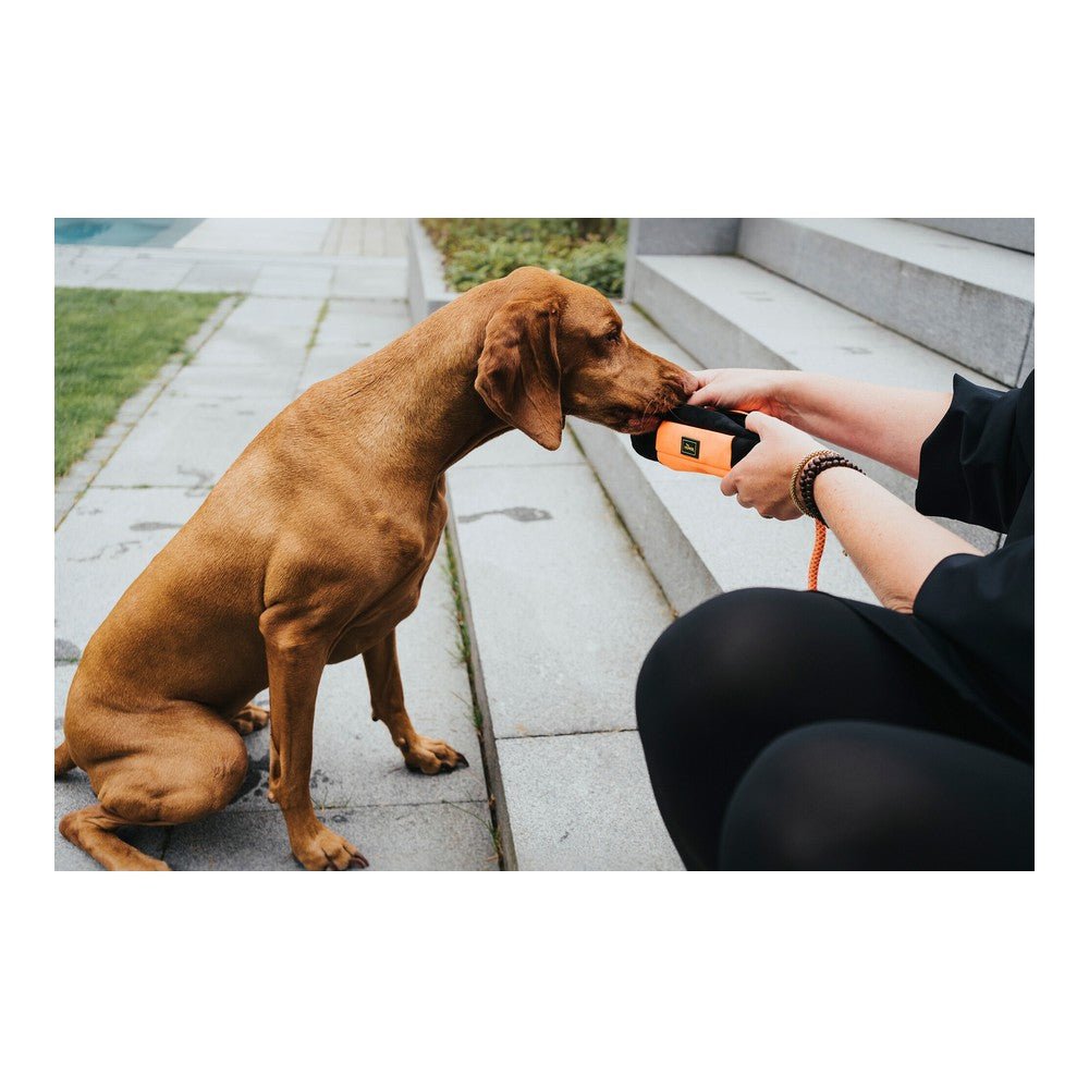 Förpackning Hunter Dummy Svart Orange Snacks