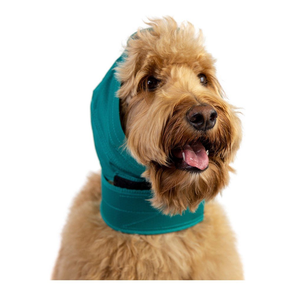 Hörselskydd för hundar KVP Grön Storlek M