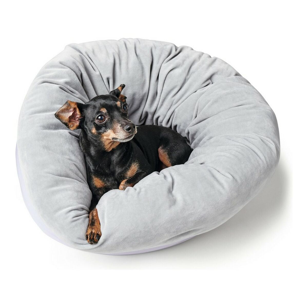 Dog bed Hunter MIRANDA Anthracite gray (50 x 50 cm)