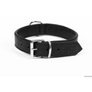 Hundhalsband Gloria Drymilled 50 cm - Gloria | Valpoteket