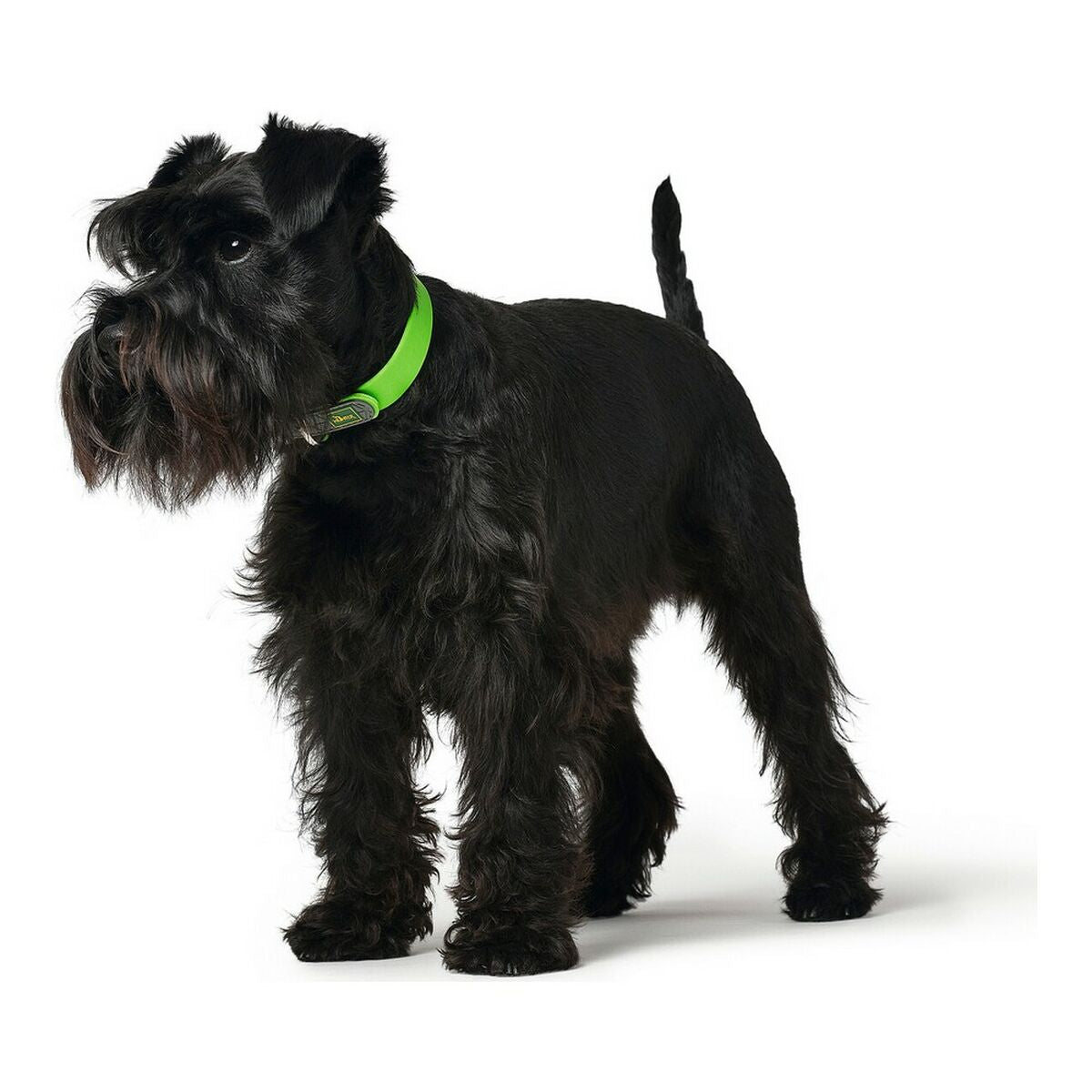 Hundhalsband Hunter Convenience Grön Storlek M/L (42-50 cm) - Hunter | Valpoteket