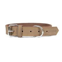 Hundhalsband läder Gloria Oasis Beige (1,2 x 35 cm) - Gloria | Valpoteket