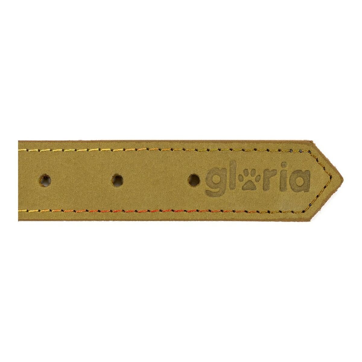 Dog collar leather Gloria Oasis Green (35 x 1.2 cm)