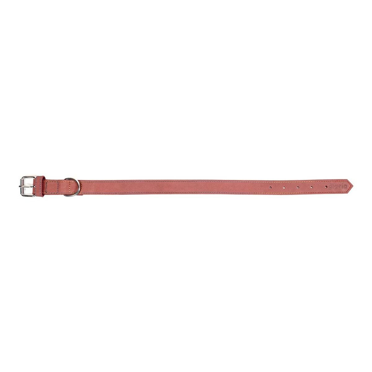 Hundhalsband läder Gloria Oasis Rosa (55 x 2,5 cm) - Gloria | Valpoteket