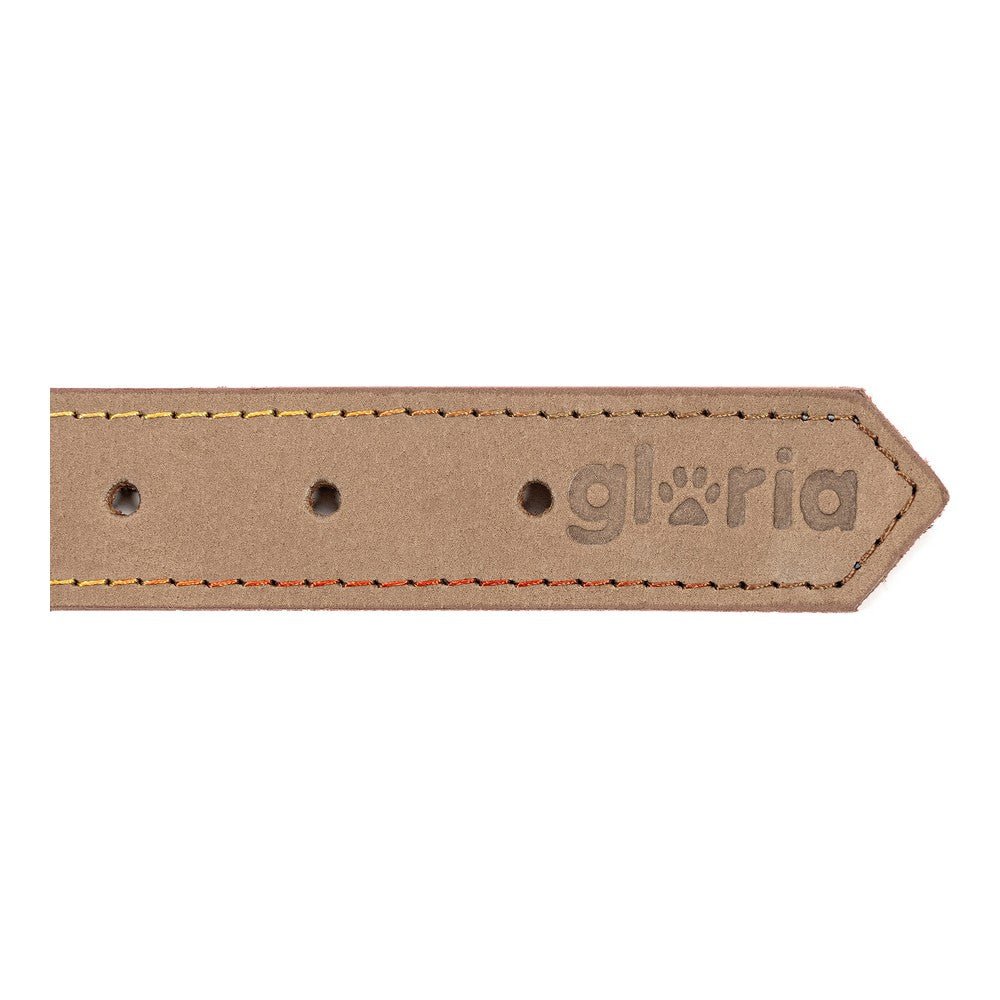 Dog collar leather Gloria Oasis White (60 x 3 cm)