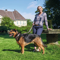 Hundhalsband läder Swiss | Enastående hantverk | Brun, M (55) - Hunter | Valpoteket