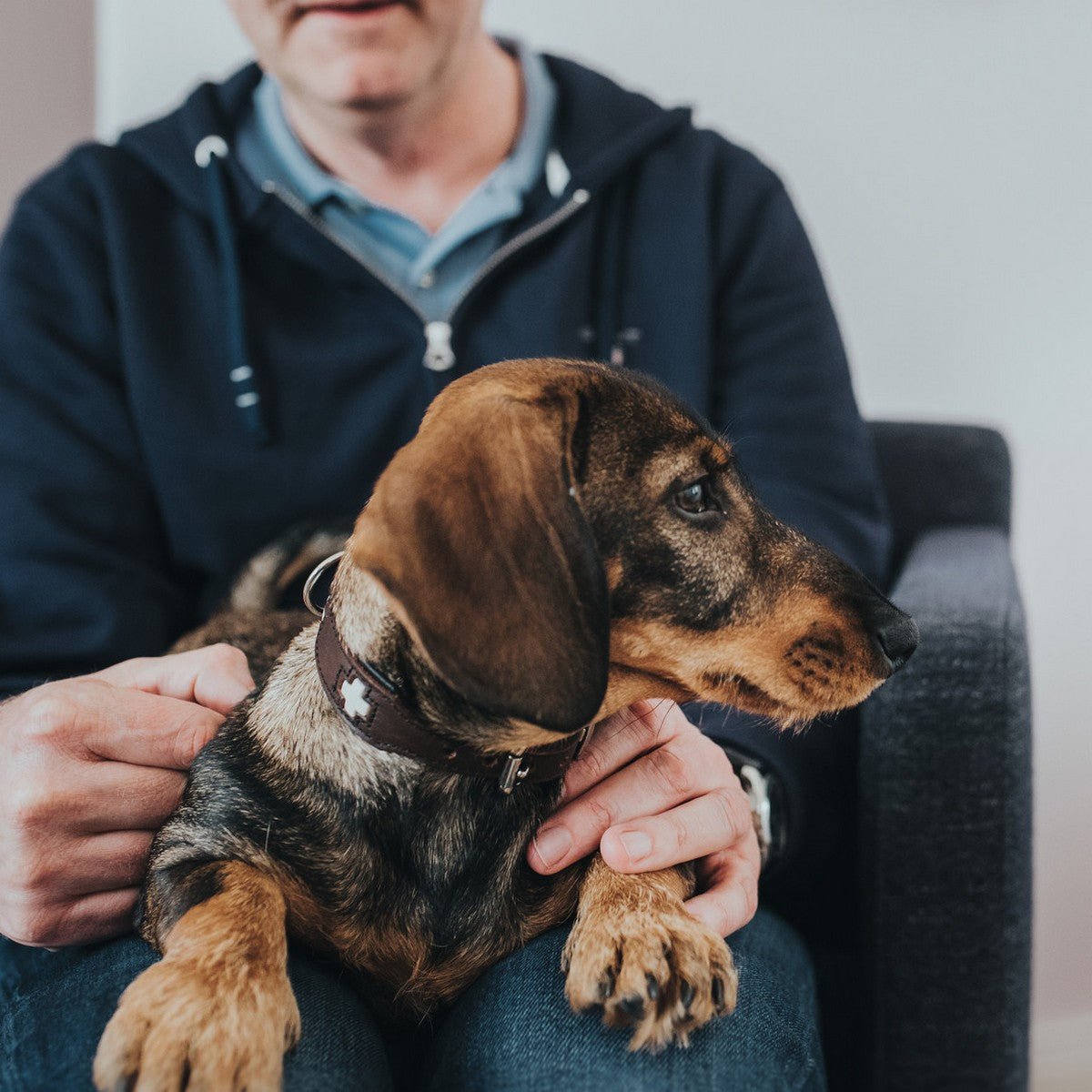 Hundhalsband läder Swiss | Enastående hantverk | Brun, M (55) - Hunter | Valpoteket