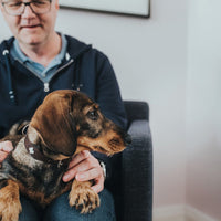 Hundhalsband läder Swiss | Enastående hantverk | Brun, S-M (47) - Hunter | Valpoteket