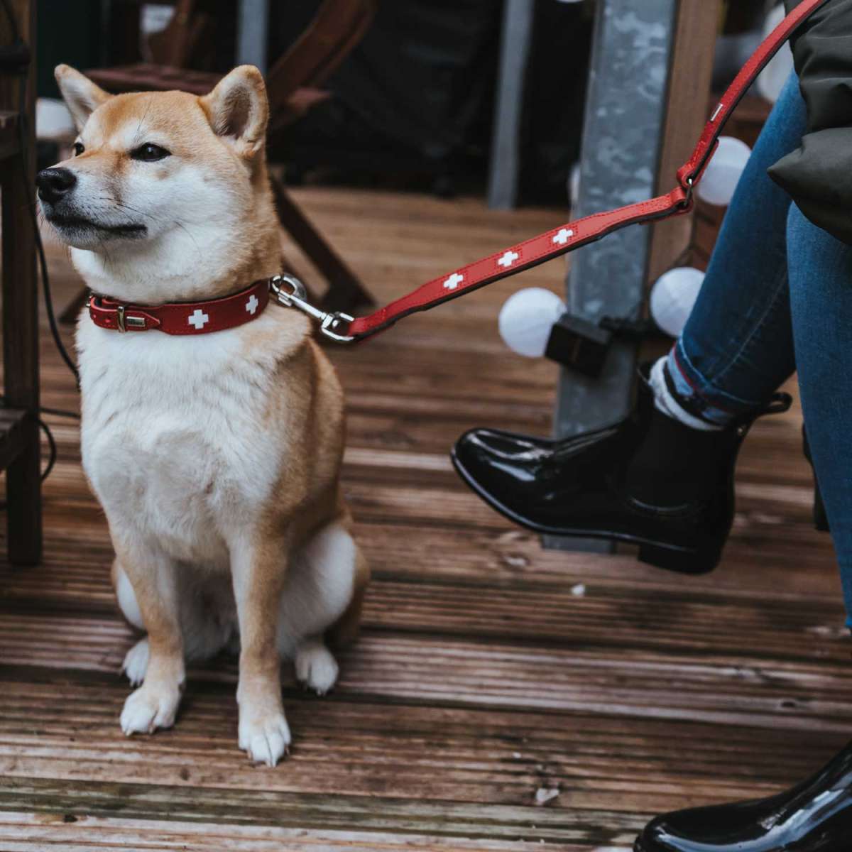 Hundhalsband läder Swiss | Enastående hantverk | Röd, S-M (42) - Hunter | Valpoteket