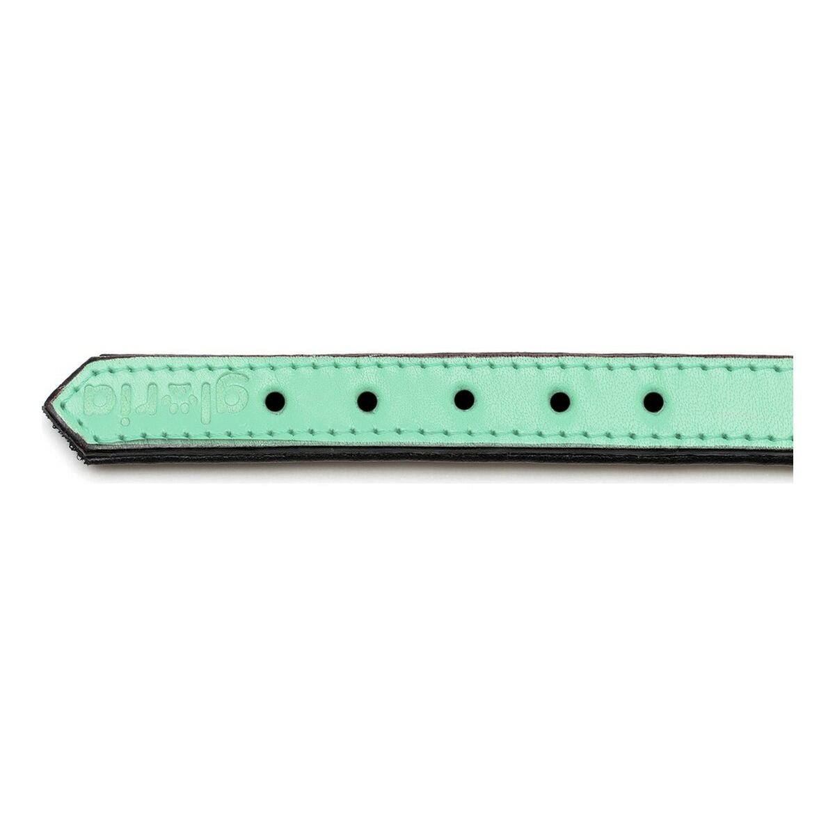 Dog collar leather padded Gloria green (35 x 1.5 cm)