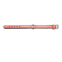 Hundhalsband läder vadderad Gloria koralll (45 x 2 cm) - Gloria | Valpoteket