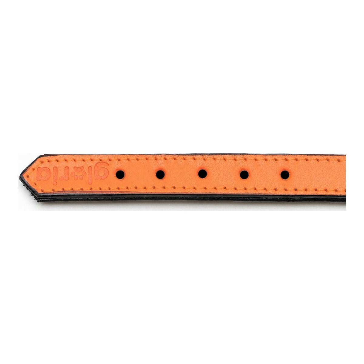 Hundhalsband läder vadderad Gloria orange (30 x 1,5 cm) - Gloria | Valpoteket