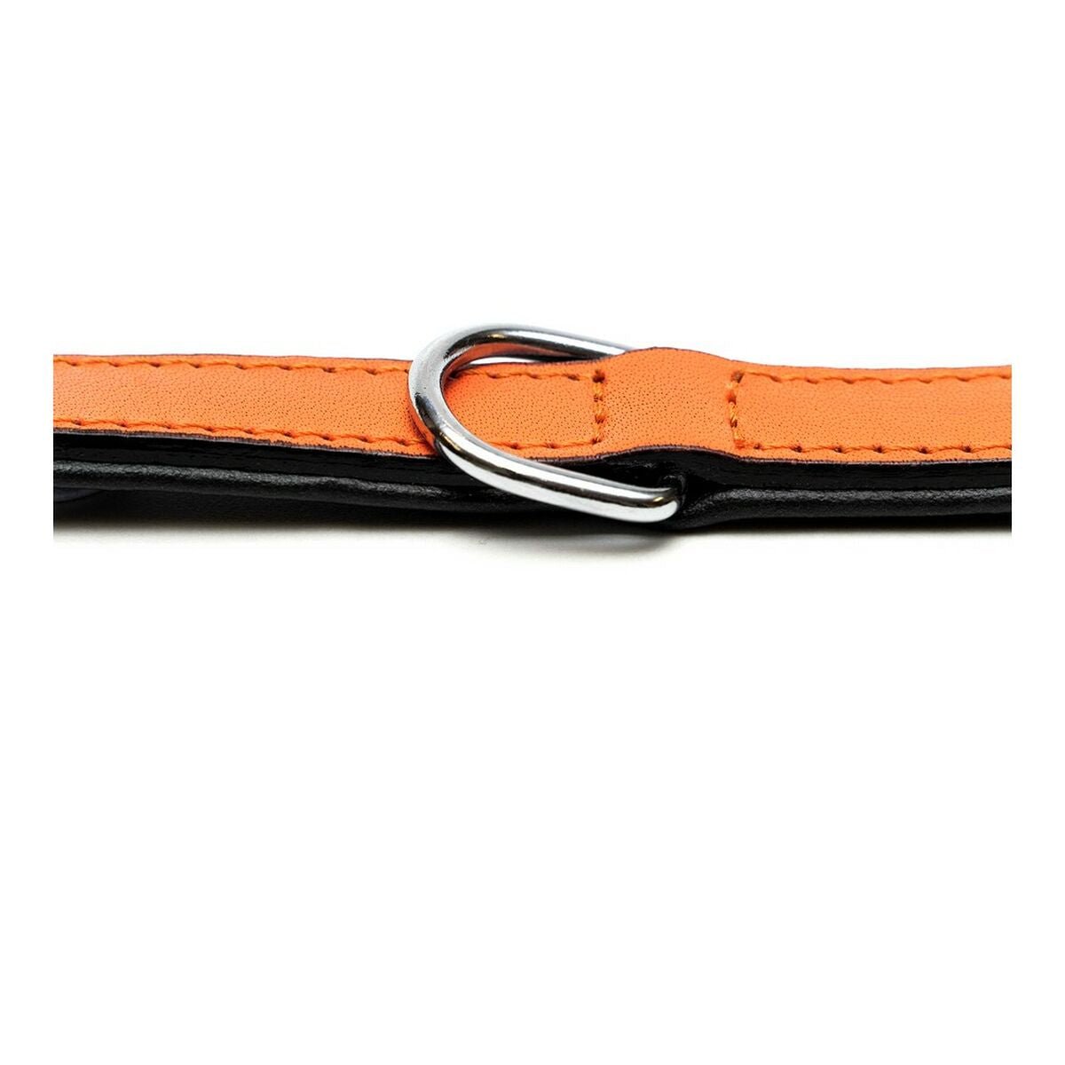 Dog collar leather padded Gloria orange (35 x 1.5 cm)