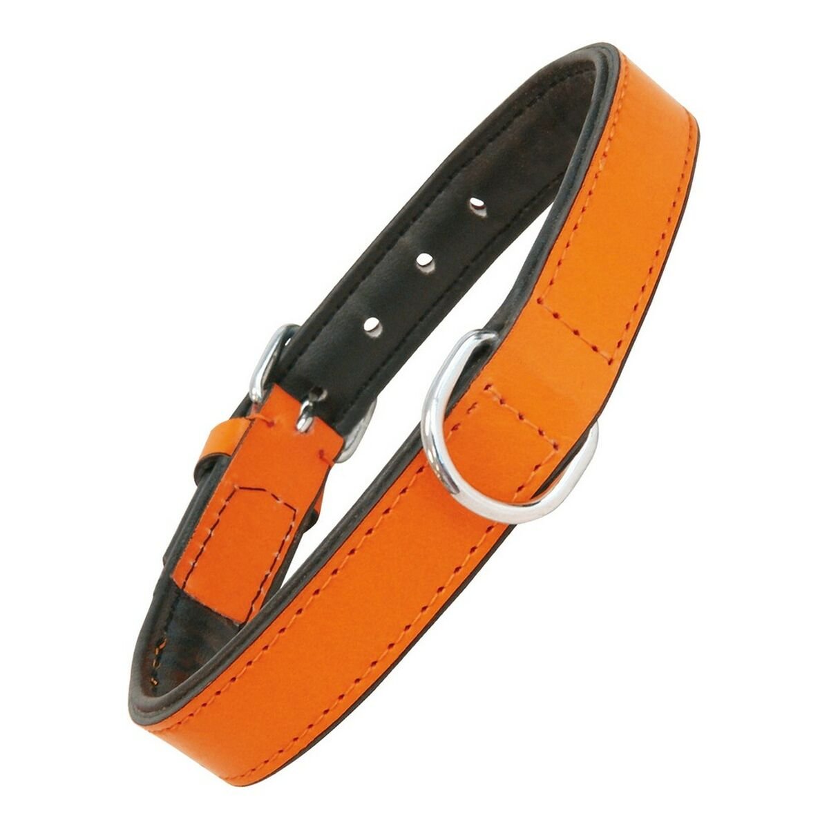 Dog collar leather padded Gloria orange (35 x 1.5 cm)