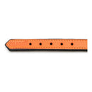 Hundhalsband läder vadderad Gloria orange (45 x 2 cm) - Gloria | Valpoteket