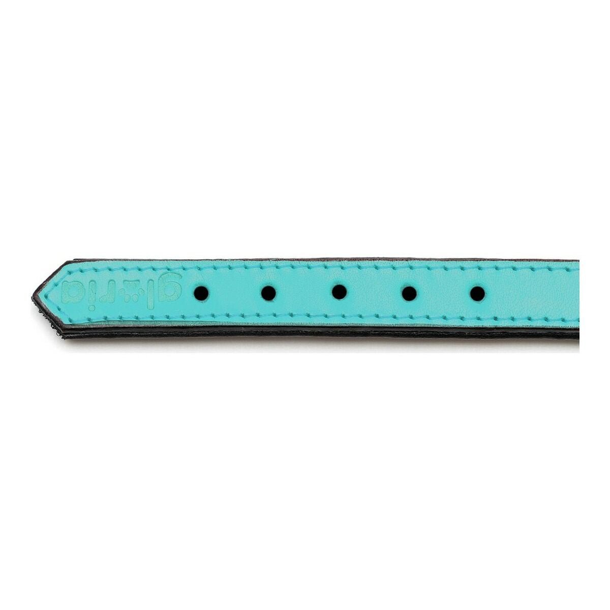 Dog collar leather padded Gloria turquoise (35 x 1.5 cm)