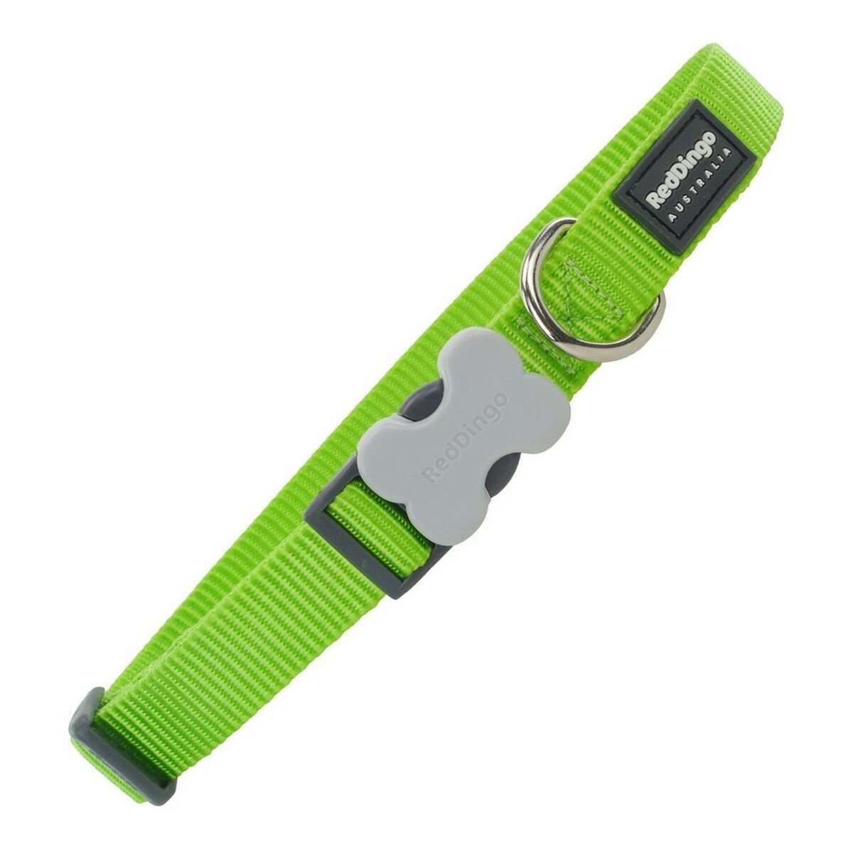 Dog collar nylon Red Dingo Lime (1.5 x 24-36 cm)