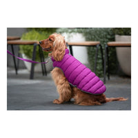 Hundjacka vinter puffer Red Dingo Rosa/Lila (25 cm) - Red Dingo | Valpoteket