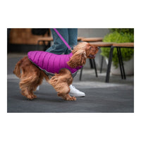 Hundjacka vinter puffer Red Dingo Rosa/Lila (45 cm) - Red Dingo | Valpoteket