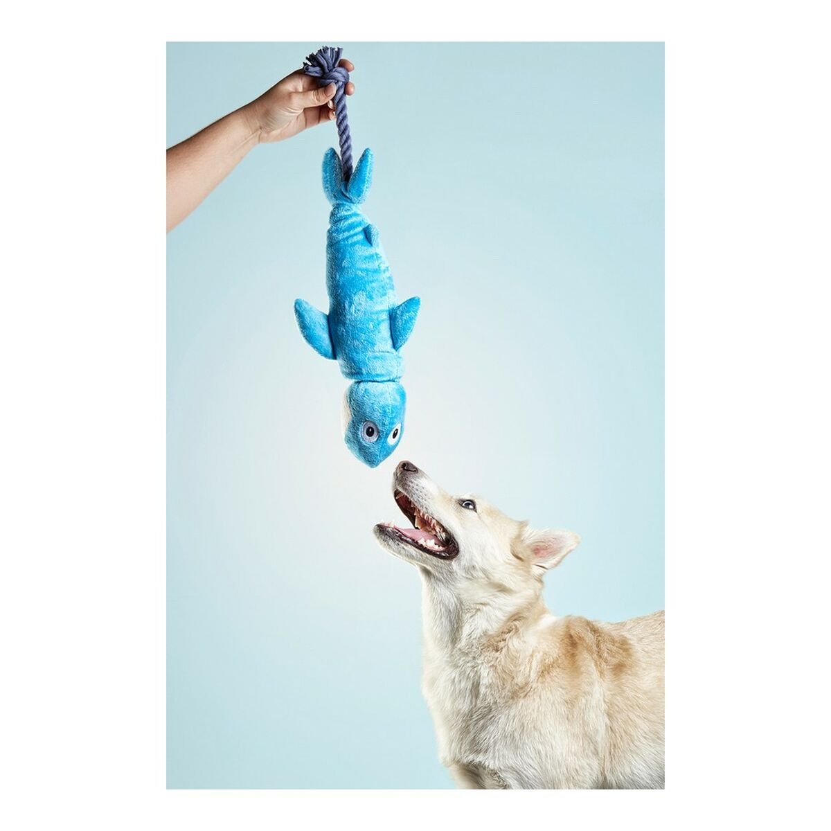 Dog toy Gloria Clint Shark