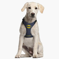 Hundsele Batman XXS/XS Blå - Batman | Valpoteket