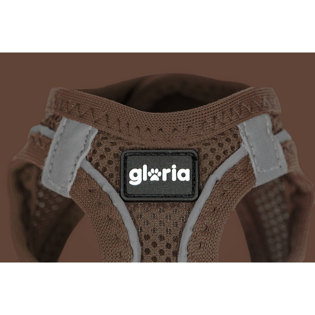 Hundsele Gloria 24,5-26 cm Brun 18-20 cm - Gloria | Valpoteket