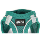 Hundsele Gloria Trek Star 29,4-32,6 cm 41,4-43 cm Turkos S - Gloria | Valpoteket