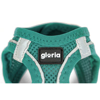 Hundsele Gloria Trek Star 33,4-35 cm 51-52 cm Turkos L - Gloria | Valpoteket