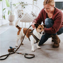 Hundsele Hilo-Comfort | Optimal rörelsefrihet | Brun, S - Hunter | Valpoteket
