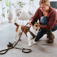 Hundsele Hilo-Comfort | Optimal rörelsefrihet | Brun, S - Hunter | Valpoteket