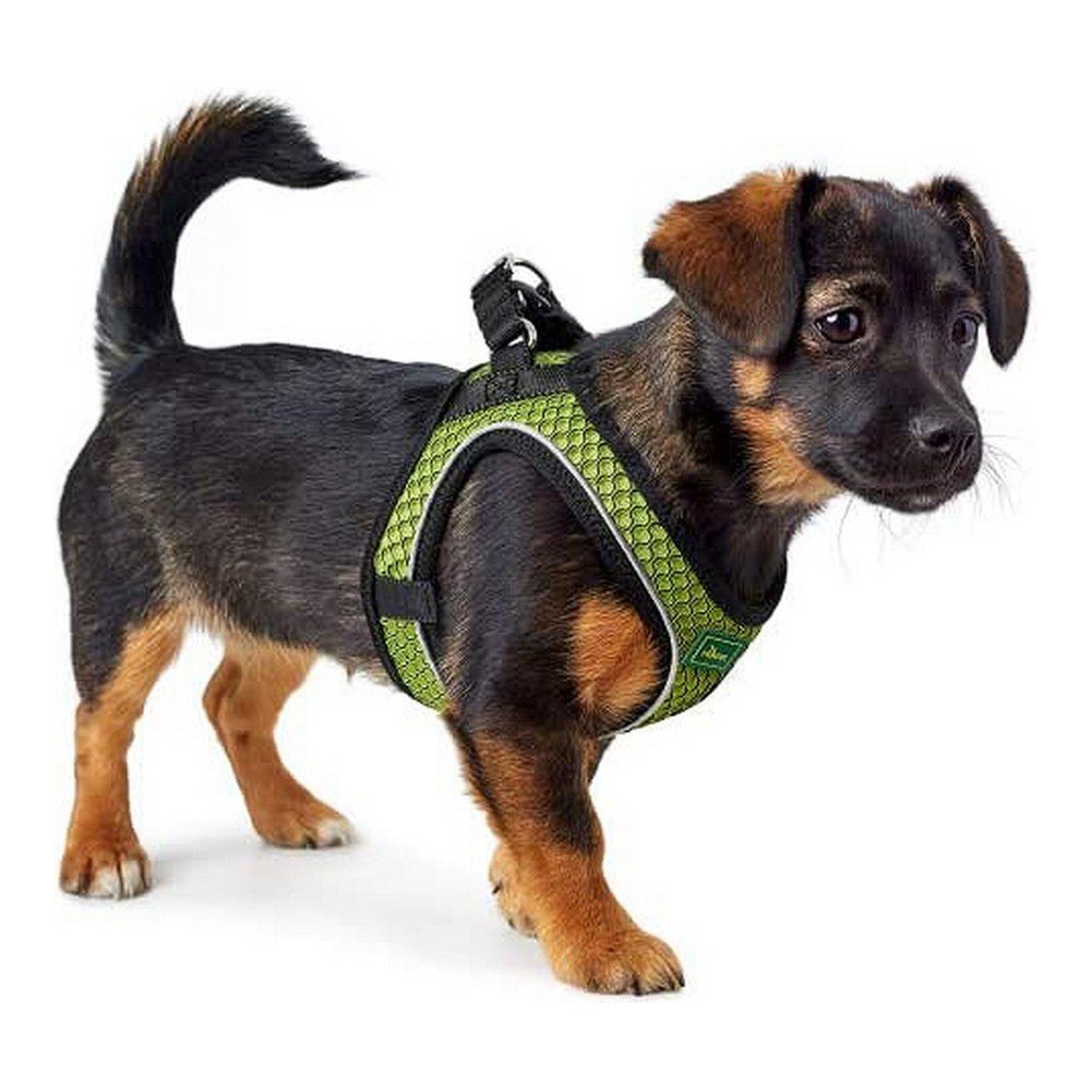 Dog harness Hilo-Comfort | Optimal freedom of movement | Lime, M/L