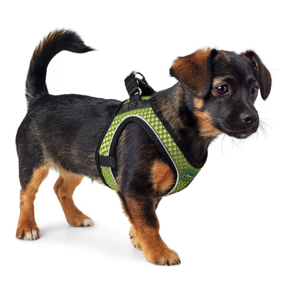 Dog harness Hilo-Comfort | Optimal freedom of movement | Lime, XXS