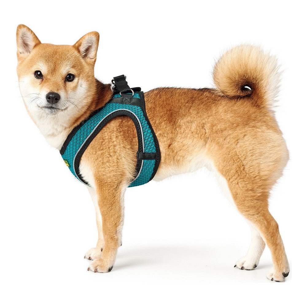 Dog harness Hilo-Comfort | Optimal freedom of movement | Turquoise, XS