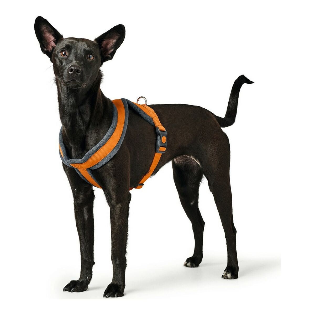 Hundsele Hunter London Comfort 39-47 cm Orange XS/S - Hunter | Valpoteket